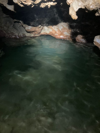 Siphon Terminal, Sept-Nains